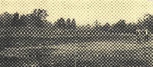 Clarksville_Shearer_field_1918_03.jpg.jpg