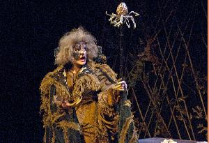 Into the Woods_20121102_witch_01.jpg.jpg