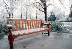 bench_in_snow_1994_002.jpg.jpg