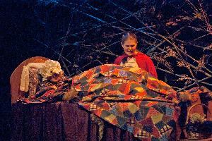 Into the Woods_riding hood_cottage_20121102_01.jpg.jpg