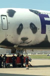 Panda_logo_on_airplane_20030407_004.jpg.jpg